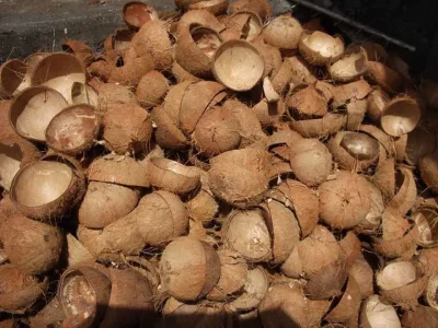 coconut-shell-biomass
