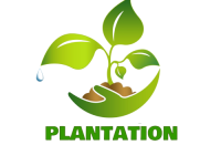 plantation-logo-design-template-4ec8a732b0f9c5f86f441eb48dd89a8e_screen-removebg-preview